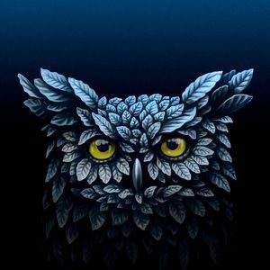 Meet your Posher, Abraham